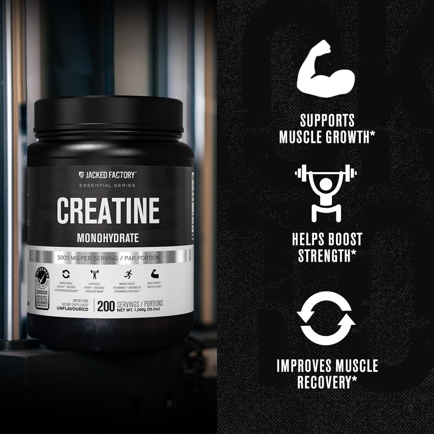 Jacked Factory Creatine Monohydrate Powder 1000g - 5g Daily Creatine Supplement for Men and Women, Vegan-Friendly,