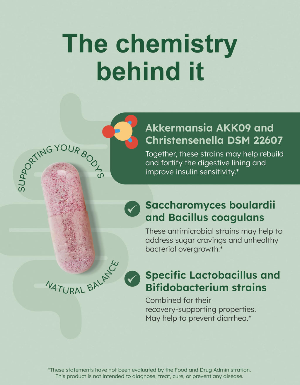 GutRx Balance – Probiotics for Women & Men with Akkermansia Probiotic & Christensenella, Alternative for Gut Health with Lactobacillus Plantarum,