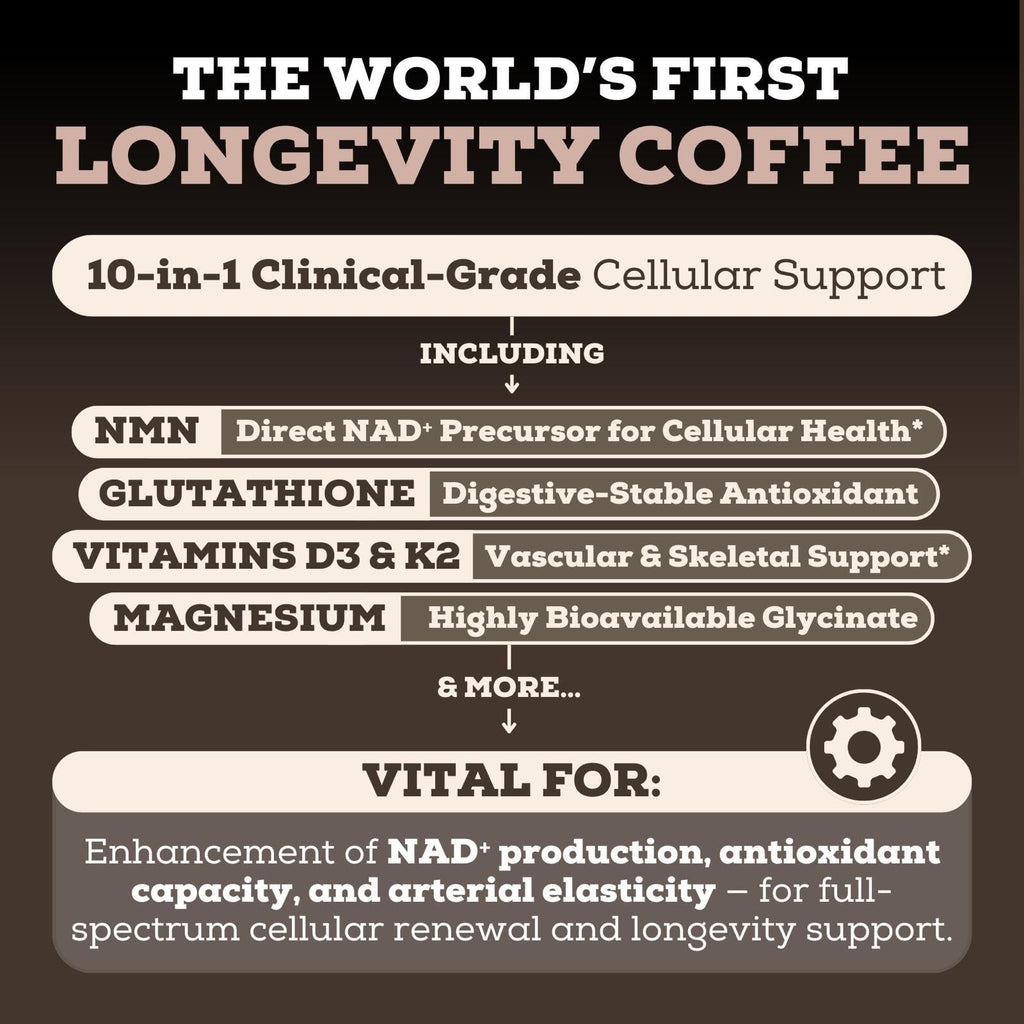 Black Forest Longevity Mix Liquid NAD+ Alternative Mocha Coffee 10-in-1 with NMN 250mg, Glutathione 250mg, TMG, Magnesium Glycinate, Vitamins D3 K2 C B12, High Polyphenol Cocoa, 30 Servings Black ForestBuy Supplements Australia