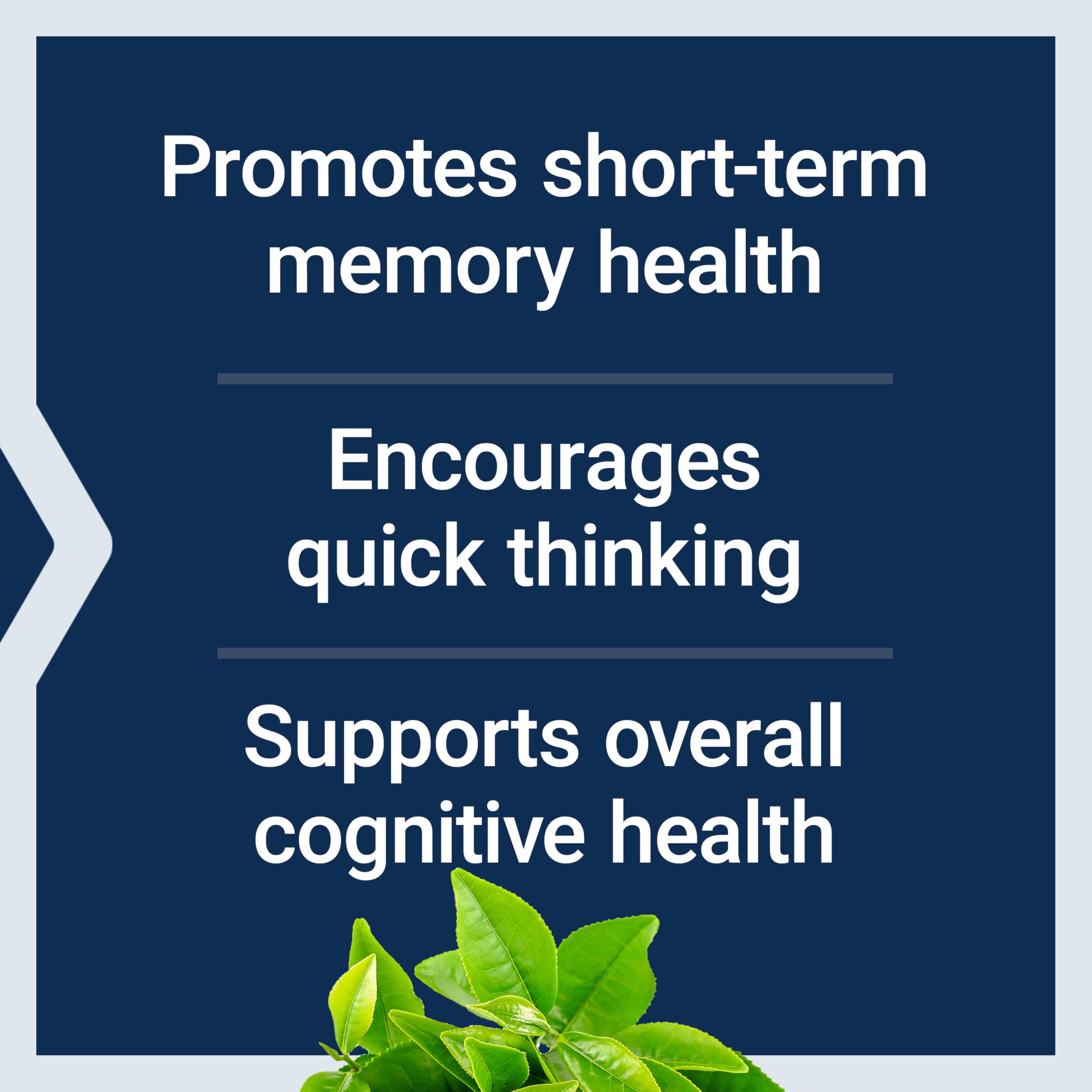 Life Extension Neuro-Mag Magnesium L-Threonate, Memory Health, Quick Thinking, Cognitive Health Support, Vegetarian, Non-GMO, 90 Vegetarian Capsules (144 mg from 2000 mg Magtein magnesium L-threonate Life ExtensionBuy Supplements Australia