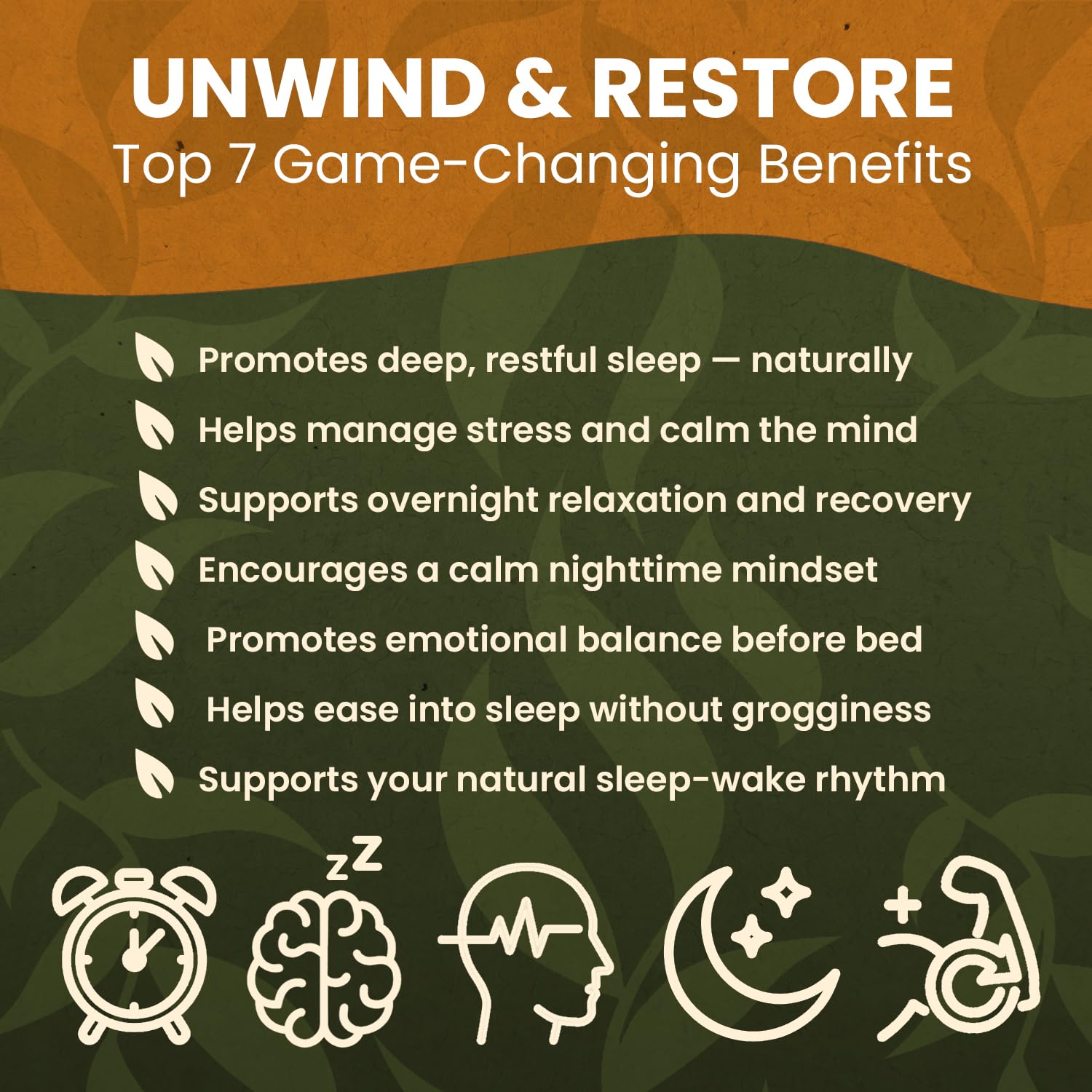 Night Gummies – Melatonin-Free, Reishi, Ashwagandha, Valerian, Magnesium, Resveratrol & Relaxing Botanicals – Supports Evening Calm
