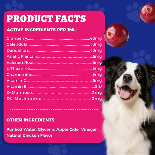 4oz Wellix Natural Cat & Dog UTI Treatment Drops,Cat & Dog Urinary Tract Infection Treatment - Cranberry & D-Mannose for Dogs & Cats - Kidney Health Supplement WellixBuy Supplements Australia