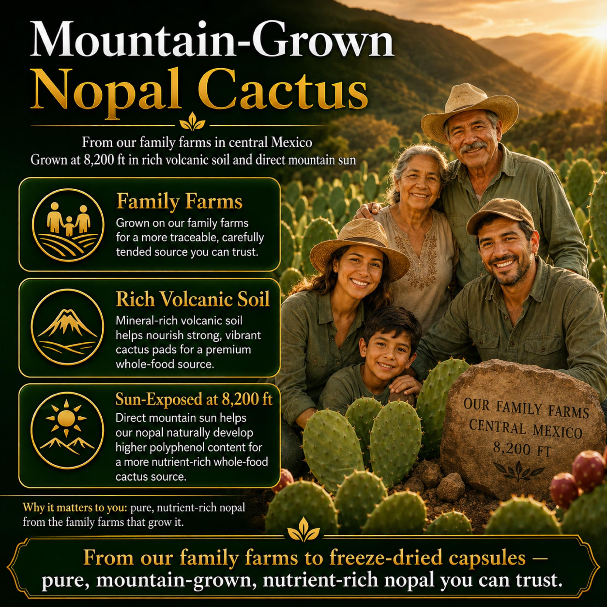 Natural Home Cures Premium Freeze-Dried Nopal Cactus Capsules, Mountain-Grown in Mexico, Whole Prickly Pear Cactus Powder Supplement, No Fillers